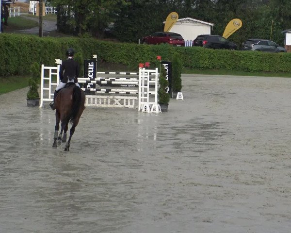 Reitturnier Vlotho-Exter 2019