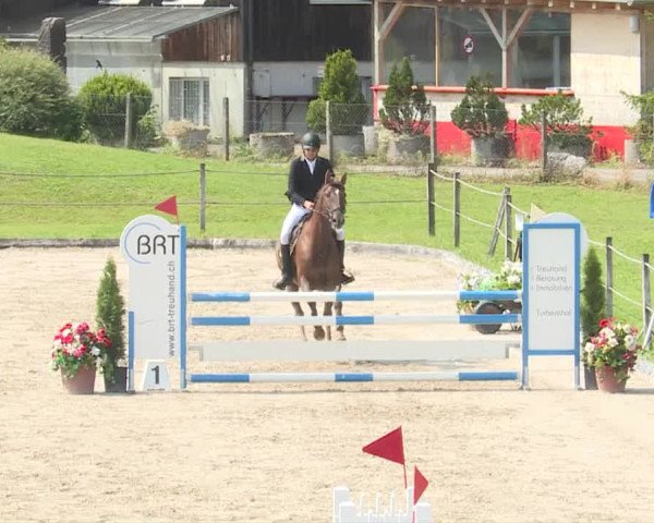 Reitturnier Turbenthal 2019