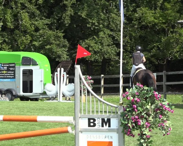 Reitturnier Kappelen-Lyss 2019