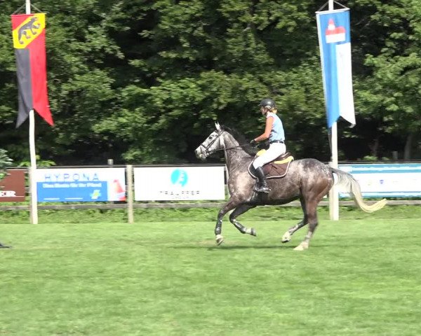 Reitturnier Kappelen-Lyss 2019