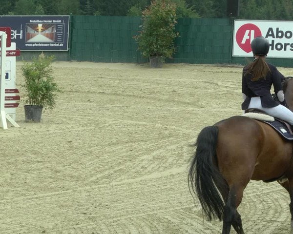 Reitturnier Lindlar-Süttenbach 2019