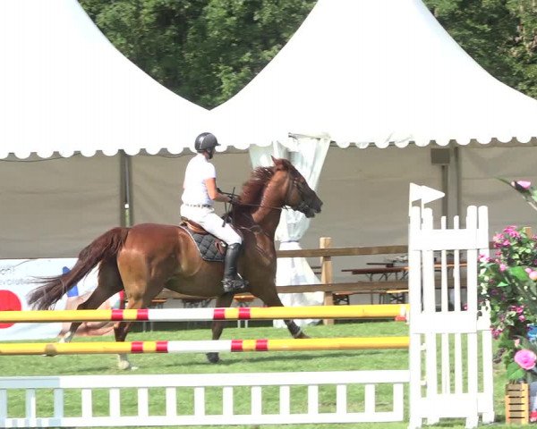 Reitturnier Kappelen-Lyss 2019