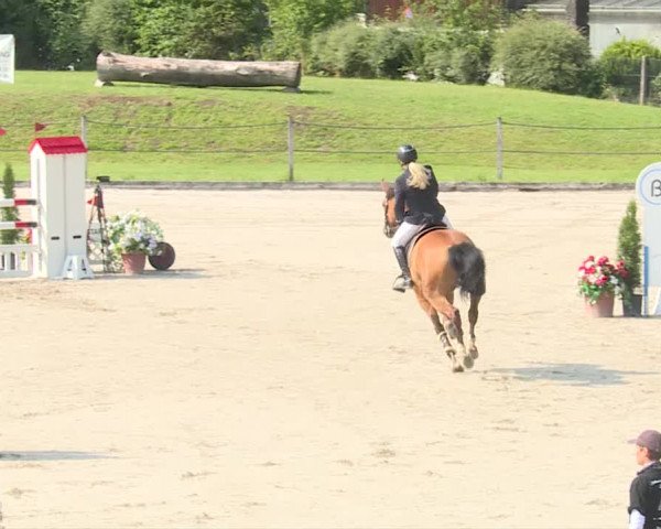 Reitturnier Turbenthal 2019
