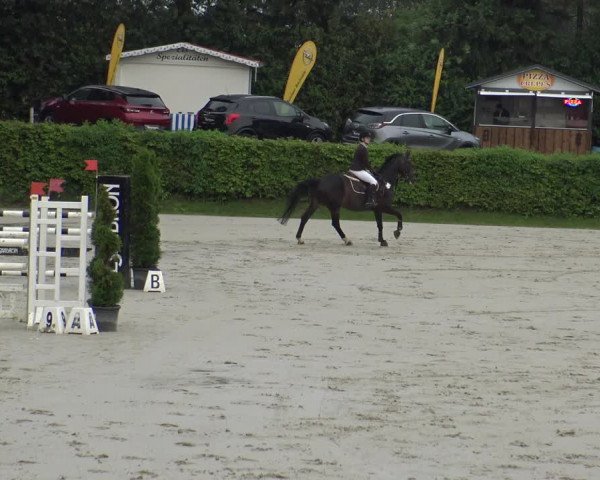 Reitturnier Vlotho-Exter 2019