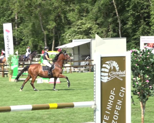Reitturnier Kappelen-Lyss 2019