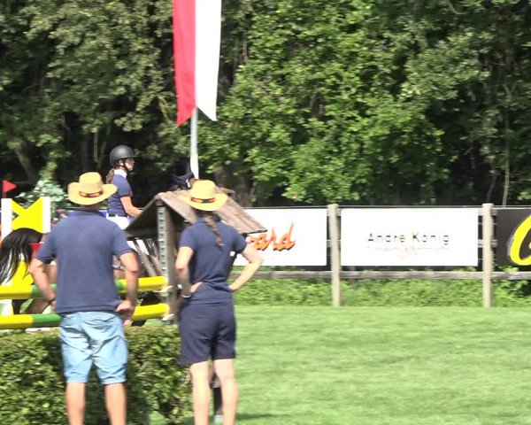 Reitturnier Kappelen-Lyss 2019