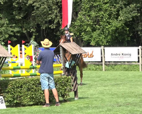 Reitturnier Kappelen-Lyss 2019