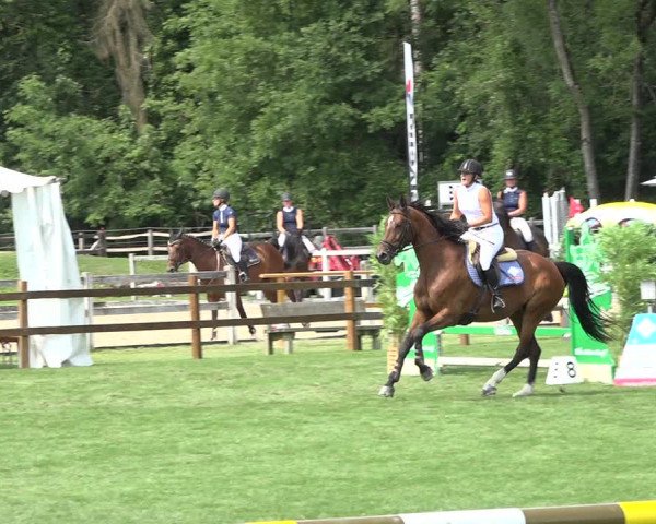 Reitturnier Kappelen-Lyss 2019