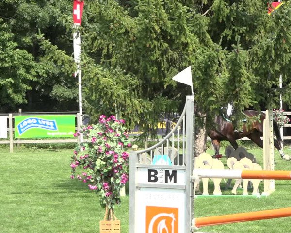 Reitturnier Kappelen-Lyss 2019