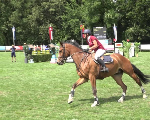 Reitturnier Kappelen-Lyss 2019