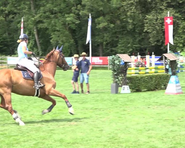 Reitturnier Kappelen-Lyss 2019