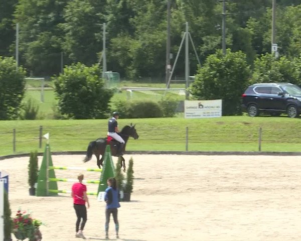 Reitturnier Turbenthal 2019