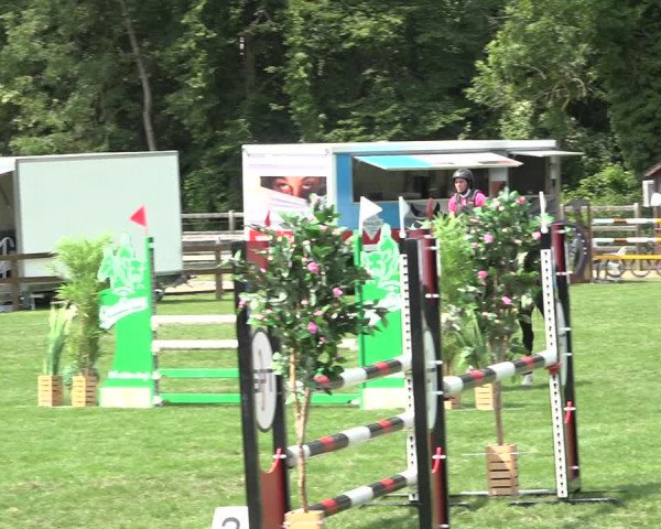Reitturnier Kappelen-Lyss 2019
