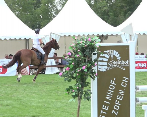 Reitturnier Kappelen-Lyss 2019