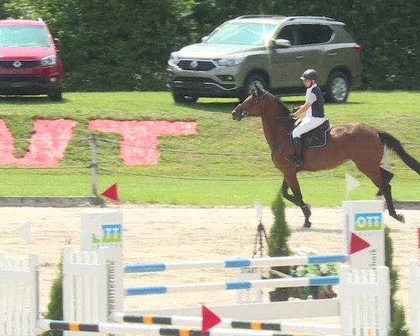 Reitturnier Turbenthal 2019
