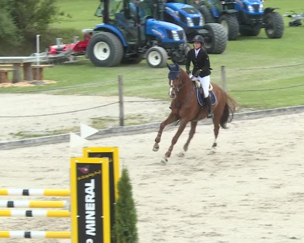 Reitturnier Turbenthal 2019