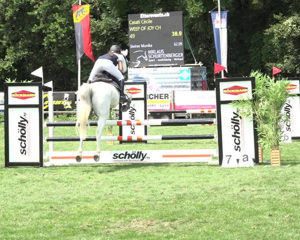 Reitturnier Kappelen-Lyss 2019
