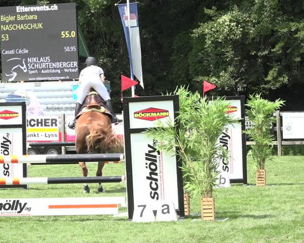 Reitturnier Kappelen-Lyss 2019
