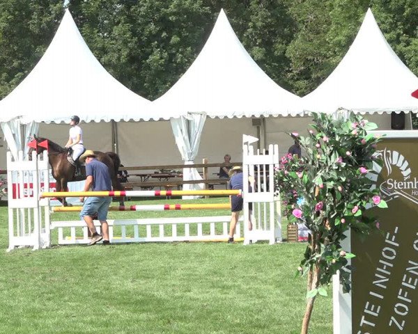 Reitturnier Kappelen-Lyss 2019