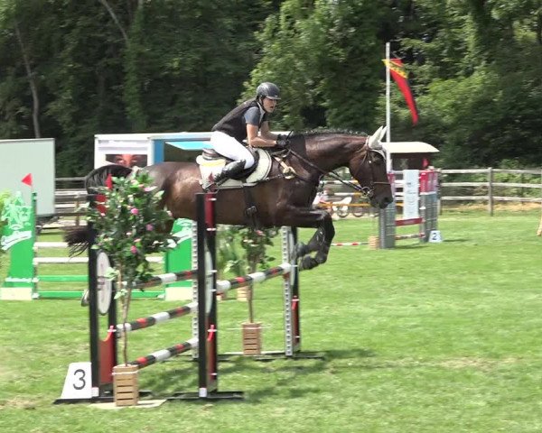 Reitturnier Kappelen-Lyss 2019