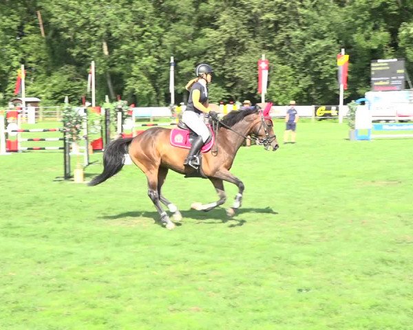Reitturnier Kappelen-Lyss 2019