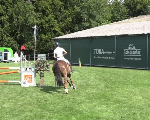 Reitturnier Kappelen-Lyss 2019