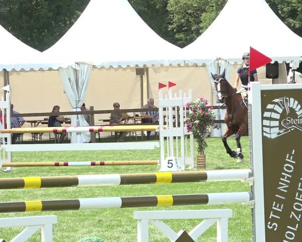 Reitturnier Kappelen-Lyss 2019