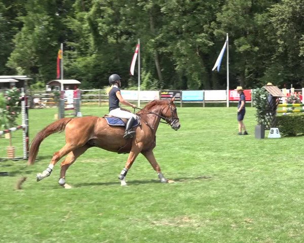 Reitturnier Kappelen-Lyss 2019