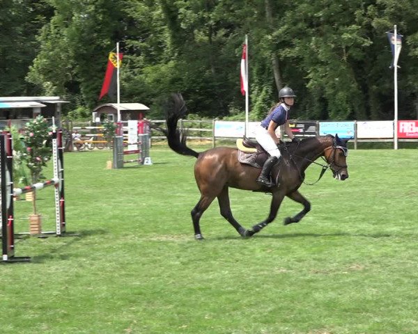 Reitturnier Kappelen-Lyss 2019