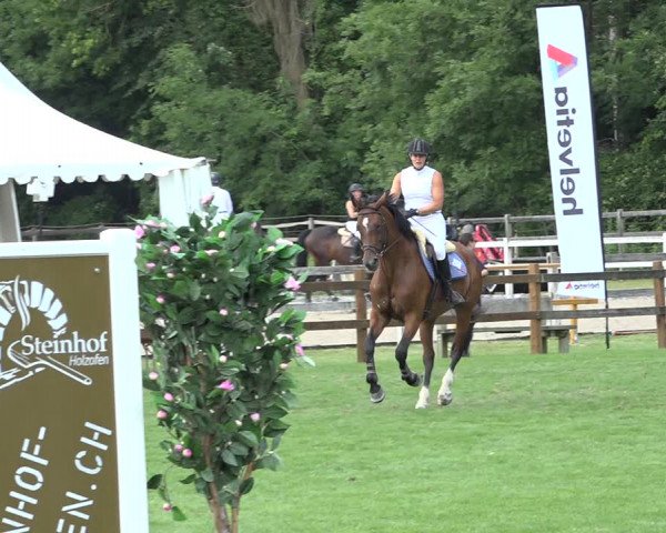 Reitturnier Kappelen-Lyss 2019