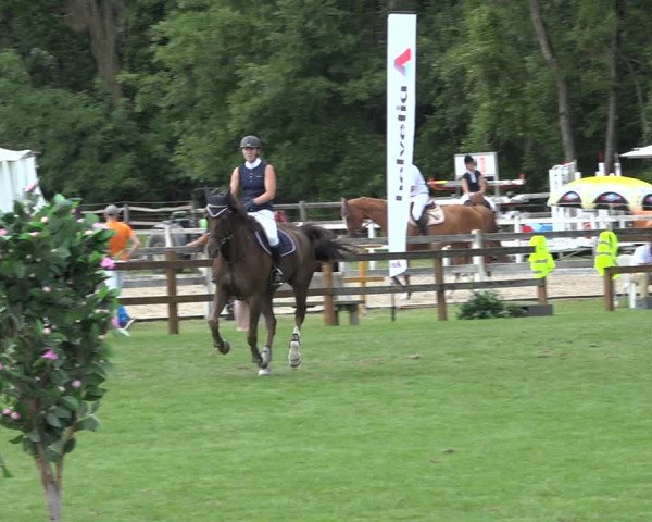 Reitturnier Kappelen-Lyss 2019