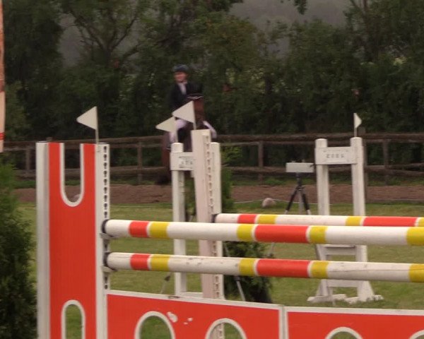 Reitturnier Ladeburg 2019