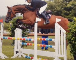 jumper Karma 22 (Hungarian Warmblood, 2011, from Illes)