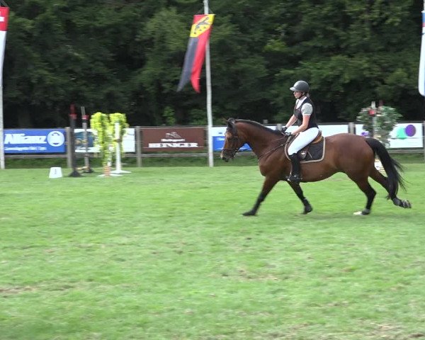 Reitturnier Kappelen-Lyss 2019