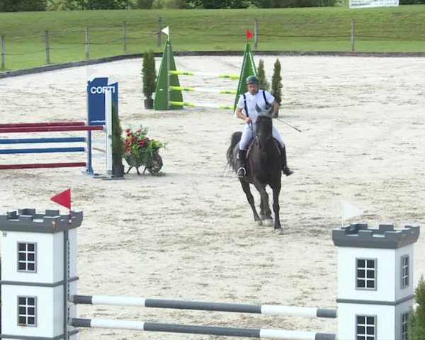 Reitturnier Turbenthal 2019
