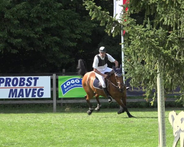Reitturnier Kappelen-Lyss 2019