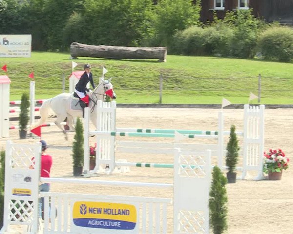 Reitturnier Turbenthal 2019