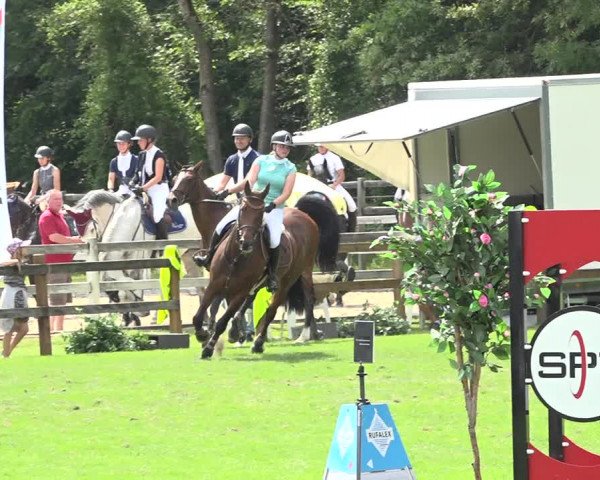 Reitturnier Kappelen-Lyss 2019