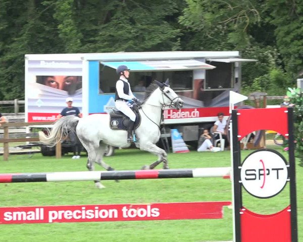 Reitturnier Kappelen-Lyss 2019