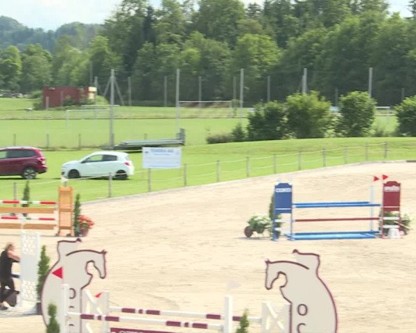Reitturnier Turbenthal 2019