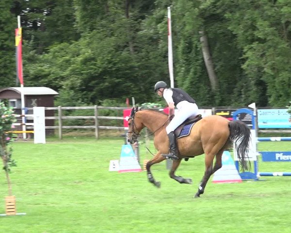 Reitturnier Kappelen-Lyss 2019