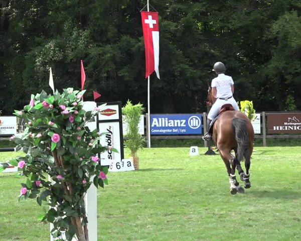 Reitturnier Kappelen-Lyss 2019