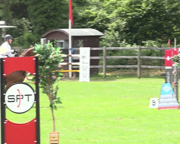 Reitturnier Kappelen-Lyss 2019