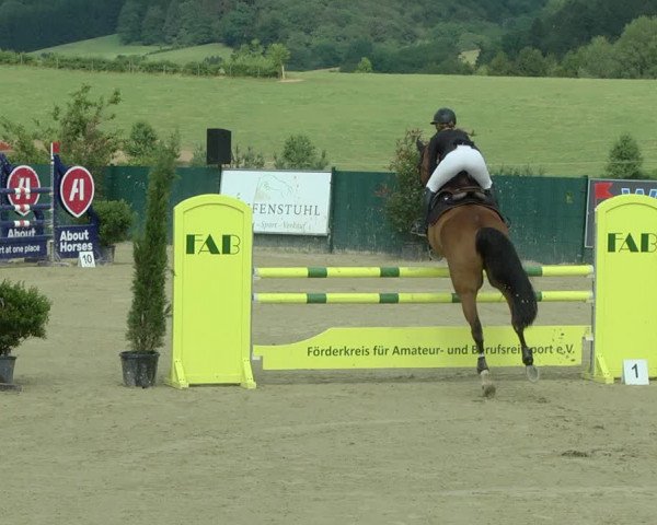 Reitturnier Lindlar-Süttenbach 2019