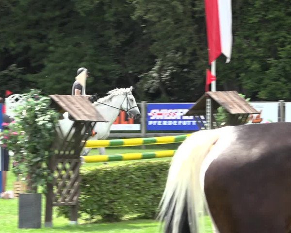 Reitturnier Kappelen-Lyss 2019