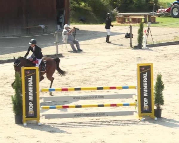 Reitturnier Turbenthal 2019