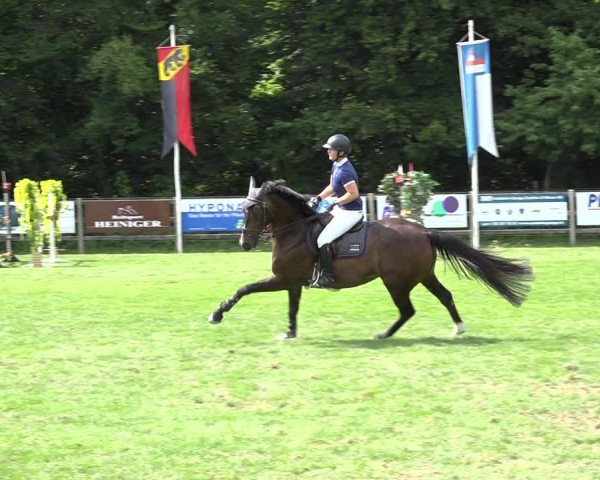 Reitturnier Kappelen-Lyss 2019