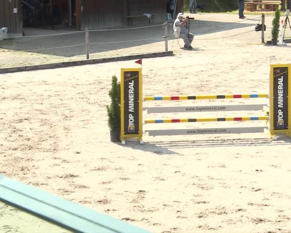 Reitturnier Turbenthal 2019