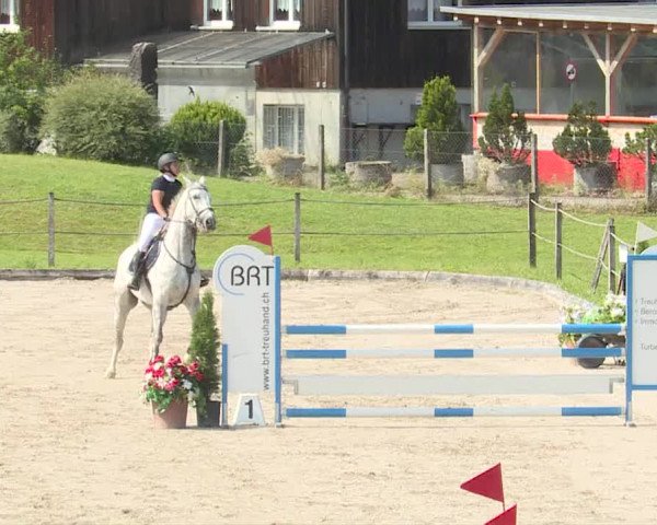 Reitturnier Turbenthal 2019
