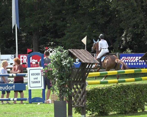 Reitturnier Kappelen-Lyss 2019